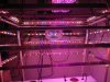 DSCN0281.jpg