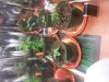 20131205_170818.jpg