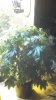 2013-12-06_00-51-46_886.jpg