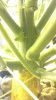 2013-12-06_00-55-00_458.jpg