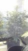 2013-12-06_00-55-46_61.jpg