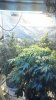 2013-12-06_00-56-26_932.jpg