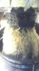 2013-12-06_01-08-08_667.jpg