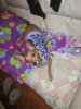 IMG_0087.jpg