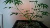 picture064.jpg