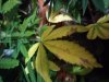 CAM00329.jpg