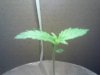IMG00009.jpg IMG00009.jpg