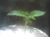 IMG00012.jpg IMG00012.jpg