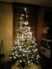 Christmas tree 2013. 12-08.jpg