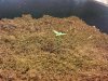 20131210_170844.jpg 20131210_170844.jpg