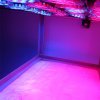 12x3W LED grow PAR light 12.jpg