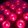 12x3W LED grow PAR light 03.jpg