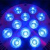 12x3W LED grow PAR light 10.jpg