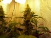 inside-12-11-2013 005.jpg
