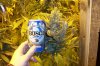 100_4486.jpg