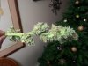20131213_224311.jpg