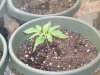 The Babies! 008.jpg
