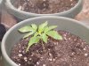 The Babies! 010.jpg