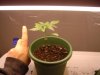 DSC01185.jpg