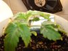 DSC01541.jpg