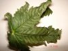 DSC01659.jpg