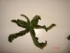 DSC01662.jpg
