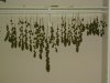 harvest 047.jpg