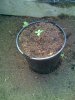 14-11-08_1616.jpg