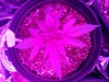 Day 26 LDW.jpg