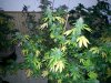 20131214_193143.jpg