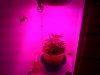 20131218_041812.jpg