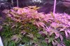 DSC_1508.jpg