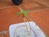 DSCN0557.jpg