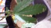 20131220_105649.jpg