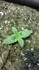 20131218_124243.jpg