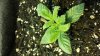 20131220_134645.jpg