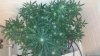 20131222_002736.jpg