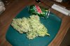100_4523.jpg