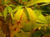 DSCN0413.jpg
