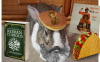 Marxist Muslim Fascist Pancake Taco Bunny Santa.png