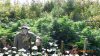 DSC00400.jpg