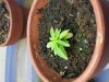20131227_071003.jpg