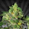 Auto-Seeds-ultra-lemon-haze.jpg