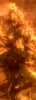 IMG00343-20131227-1421.jpg