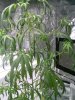 CAM00400.jpg