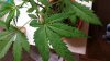 20131228_181757.jpg