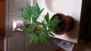 20131228_181751.jpg