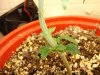 DSC01674.jpg