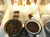 grow journal 002.jpg