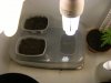 grow journal 003.jpg